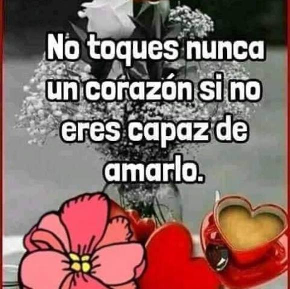beatrizcampo852